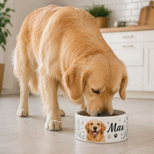 Coque-sublimation.fr Gamelle pour chien sublimation Gamelle pour chien sublimation